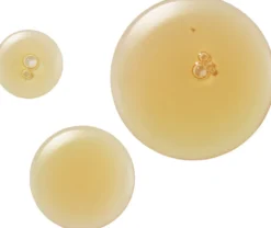 Active Reovery Broth
