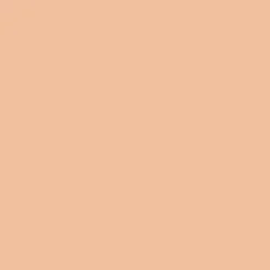 Airbrush Flawless Blur Concealer