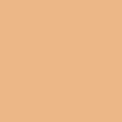Airbrush Flawless Blur Concealer