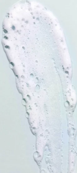 Aloe Vera Hair Mousse