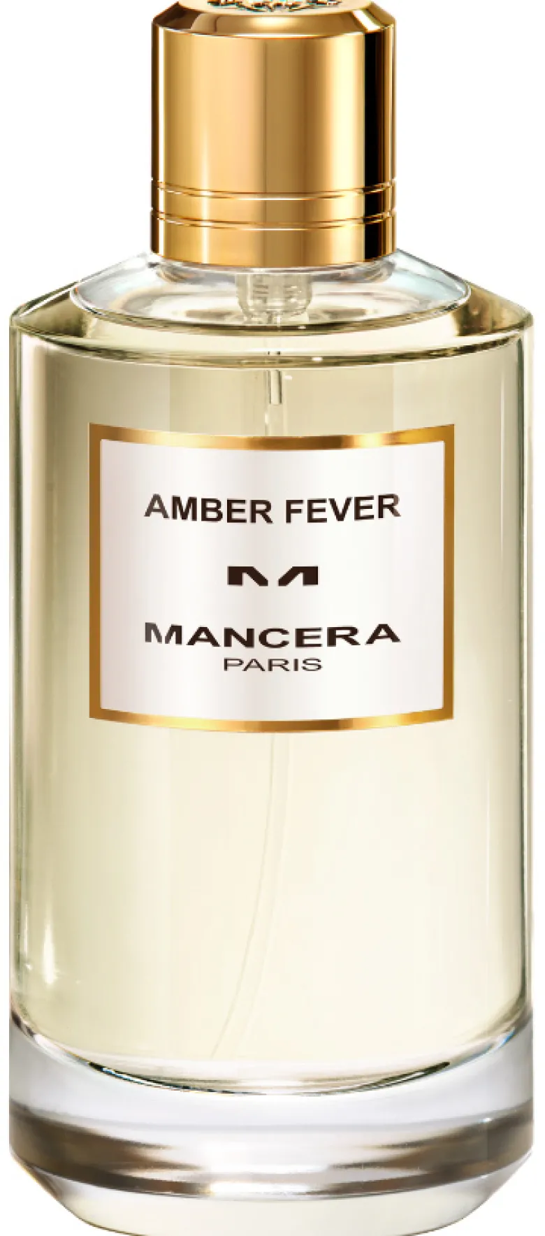 Amber Fever