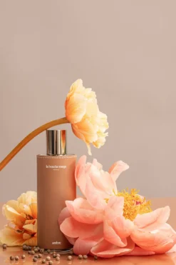 Ambre