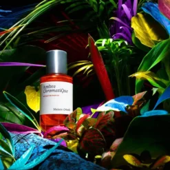 Ambre Chromatique Extrait