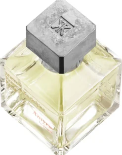 Amyris homme