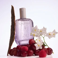 Ange des Vignes