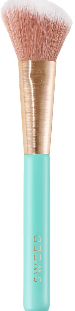 Angled Blush Brush
