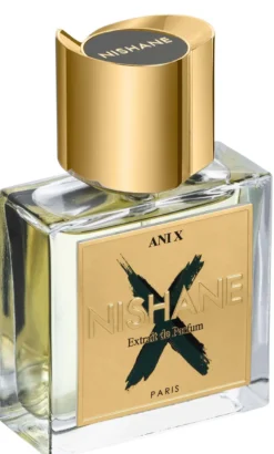 Ani X