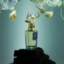Aqua de dora