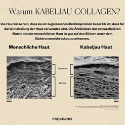 Arctic Marine Collagen Powder