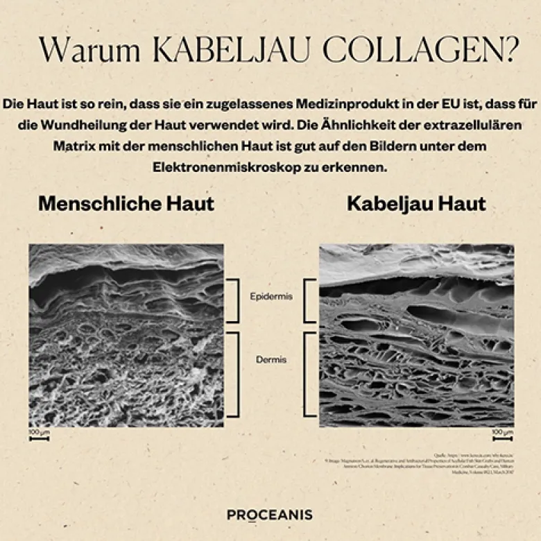 Arctic Marine Collagen Powder