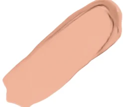 BAREPRO 16 HR WEAR All Over Skin-Perfecting Matte Concealer Mineral SPF 25