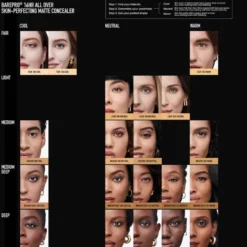 BAREPRO 16 HR WEAR All Over Skin-Perfecting Matte Concealer Mineral SPF 25