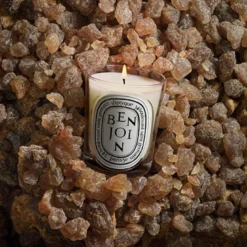 Benjoin Classic Candle