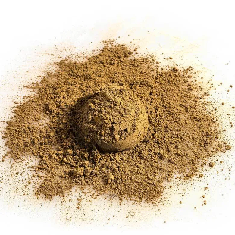 Bio Hojicha Tee
