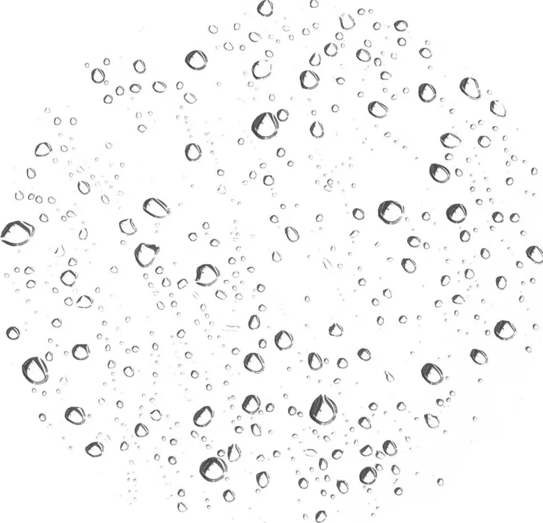 Bitter Orange Neroli Toning Mist