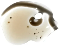 Bitter Orange Neroli Toning Mist