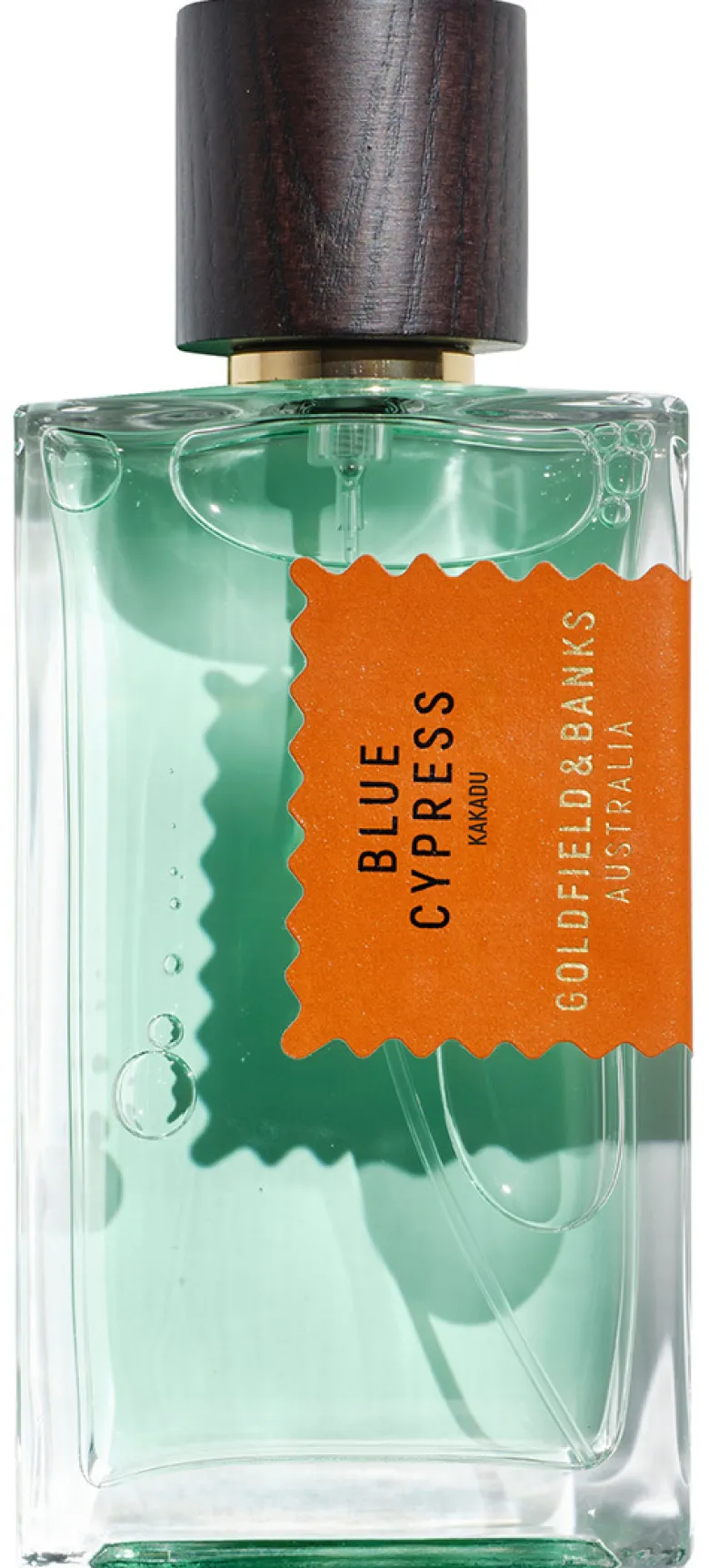 BLUE CYPRESS