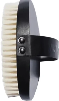 BODY BRUSH