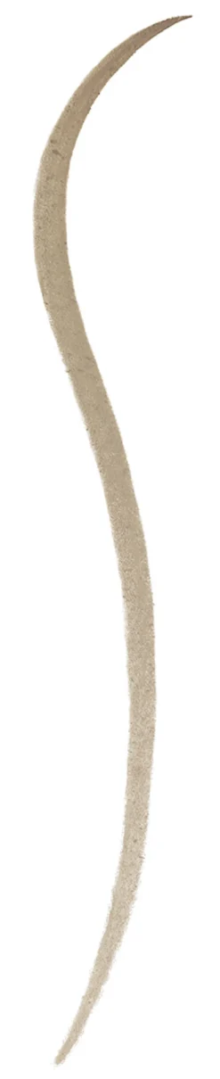 Bonne Brow Defining Pencil