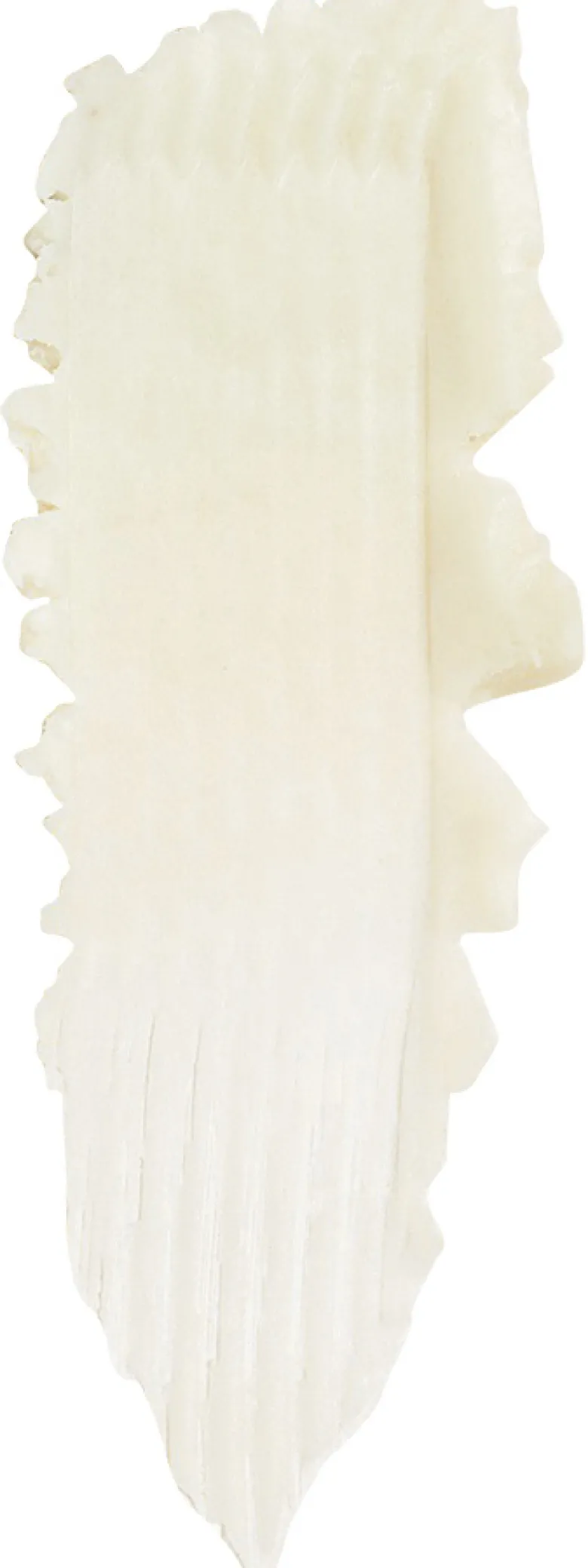 Botanical Cream Deodorant
