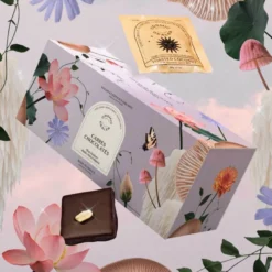 Box of nut butter chocolates - All flavors
