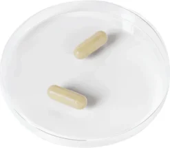 Cell Primer