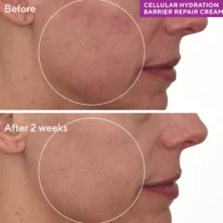CELLULAR HYDRATION REPAIR CREAM