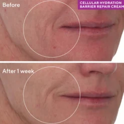 CELLULAR HYDRATION REPAIR CREAM