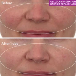 CELLULAR HYDRATION REPAIR MASK