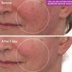 CELLULAR HYDRATION REPAIR MASK