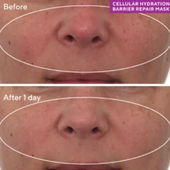 CELLULAR HYDRATION REPAIR MASK