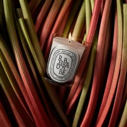 Classic Candle Rhubarbe