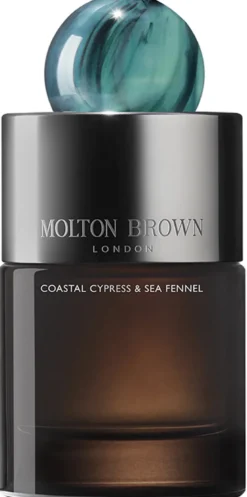Coastal Cypress & Sea Fennel