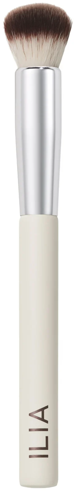 Complexion Brush