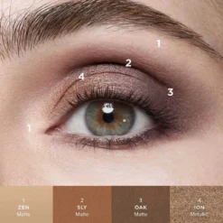 Curator Eyeshadow