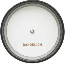 Dandelion Candle