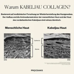Day & Night Hyaluron + Collagen Drink