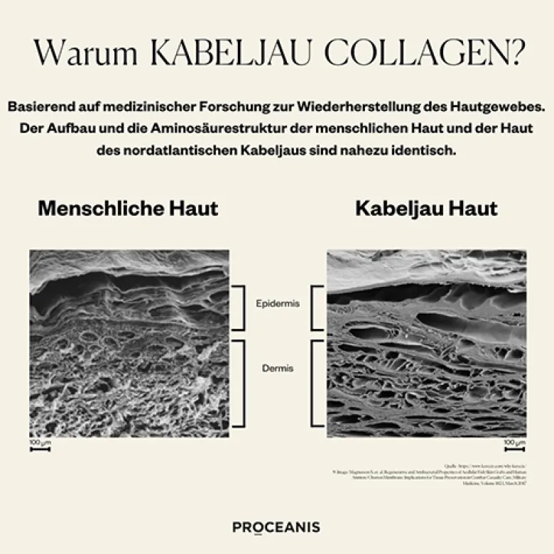 Day & Night Hyaluron + Collagen Drink