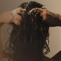 Density Shampoo