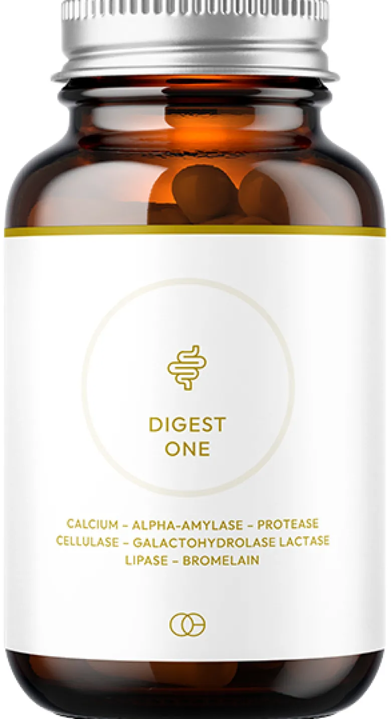 Digest One