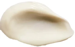 Dragon's Blood Hyaluronic Night Cream