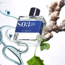 803 embruns, gingembre, patchouli