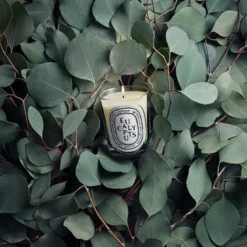 Eucalyptus Classic Candle