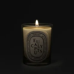 Eucalyptus Classic Candle