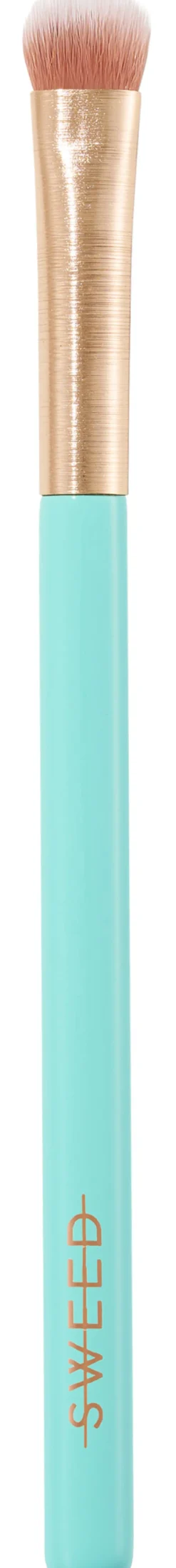 06 Eyeshadow Brush