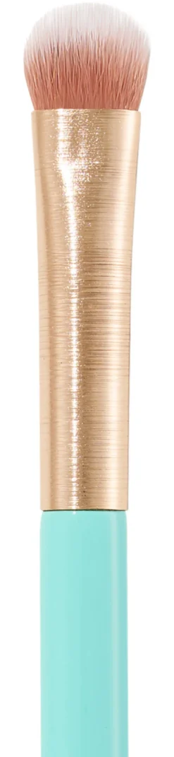 06 Eyeshadow Brush