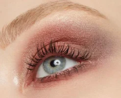Eyeshadow 5 Colours