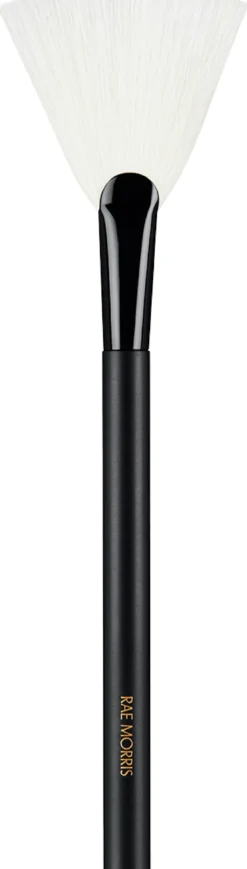 #25 Fan Highlighter