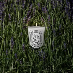 Feuille de Lavande Classic Candle