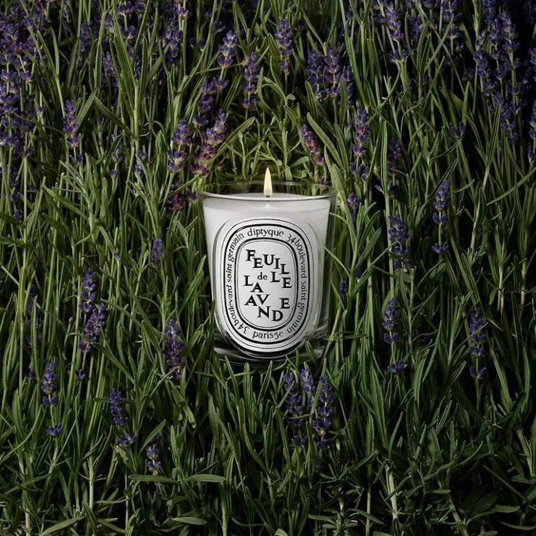 Feuille de Lavande Classic Candle